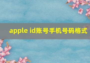 apple id账号手机号码格式